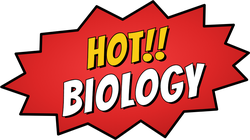 Hot: Biology